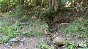 Pohľad na lokalitu - pramenisko