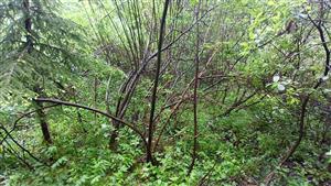 Pohľad na širšie okolie TML južným smerom