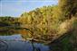 Meander
