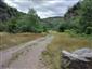 jašterica zelená (22.7.2025)