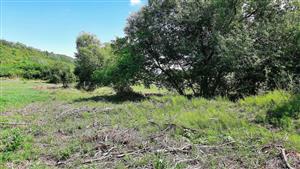 Pohľad SV smerom po ľavej strane potoka s odstránenou krovinnou a bylinnou egetáciou.