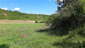 Pohľad SV smerom v strednej časti TML po ľavej strane potoka.