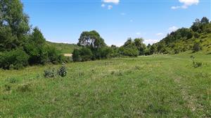 Pohľad SV smerom na xerotermné lesostepné biotopy po pravej strane toku Chrámeckého potoka v dolnej časti TML.