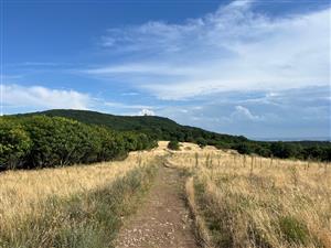 lokalita monitoringu