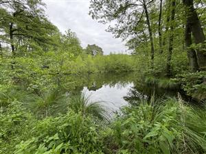 začiatok odberového úseku