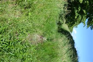 TML na Lesenickom potoku proti hornej časti ihriska, pod lipou jama na odber vody na zavlažovanie trávnika.