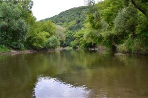 Dolný úsek TML Ipeľ - Leľa, dno jemne štrkovité, pri brehoch organický sediment (lístie) s vrstvou bahna, tu výskyt raka pruhovaného.sssss