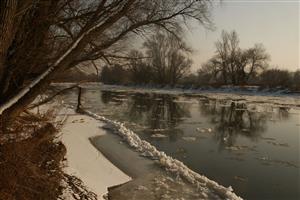 Rieka Morava