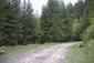 Mlynárka dlhochvostá (8.5.2025)