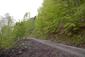 Mlynárka dlhochvostá (24.5.2025)