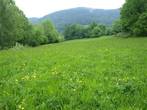 pohľad na lokalitu zhora od chatovej osady