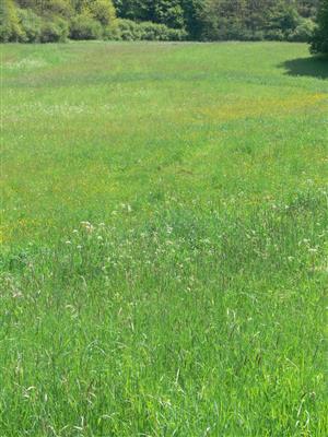 Pohlad na cast lokality