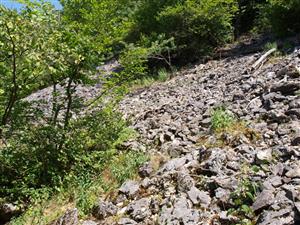 pohľad na lokalit zospodu vľavo