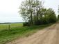 Jariabok hôrny (4.6.2025)