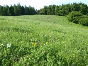 pohľad na lokalitu JZ smerom2