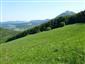 Nížinné a podhorské kosné lúky (30.5.2015)