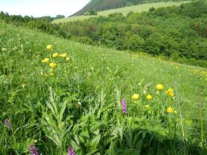 detail spoločenstva