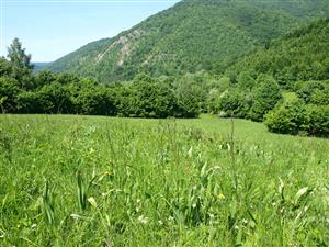 detail spoločenstva 2 