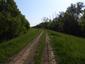 brhlík lesný (obyčajný) (14.5.2025)