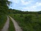 Kôrovník dlhoprstý (26.5.2025)