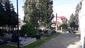 Vrana popolavá (30.5.2025)