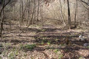 TML Bačkovská dolina