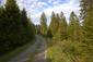 Vrana popolavá (22.5.2025)