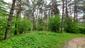 Hýľ (Červenák) karmínový (27.5.2025)