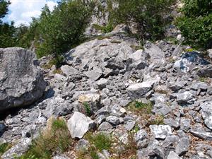 pohľad na lokalitu 1