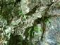 detail 2