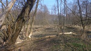 Castorland