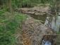 castorland