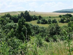 pohľad na časť lokality