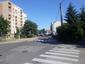 Pinka lesná (8.5.2025)