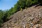 Nespevnené karbonátové skalné sutiny montánneho až kolinného stupňa (1.8.2013)
