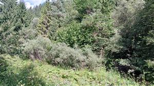 Pohľad na TML - spodná časť