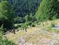jašterica bystrá (18.6.2025)
