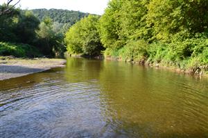 Leľa, Ipeľ, horná časť TML s ostrovom v koryte Ipľa, nízky vodný stav.