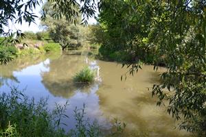 Horný úsek TML z ľavého (maďarského) brehu.