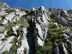  (22.7.2025)