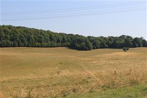 potenciálne vhodný biotop