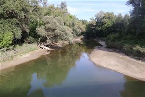 Pohľad na V časť Veľkolélskeho ramena. Foto: 18.8.2025, J.Lengyel.