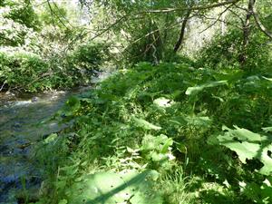 Pohľad na časť TML