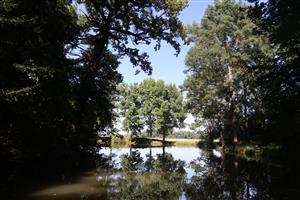 Pohľad na časť TML Úľany -  JV jazierko.Foto: 26.8.2025, J.Lengyel.