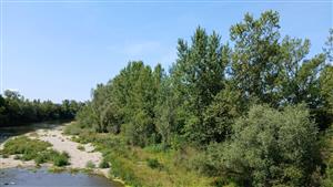 Pohľad na TML z mosta