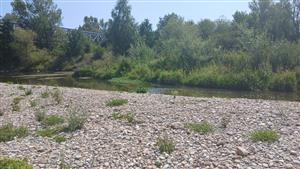 Pohľad na TML - štrková lavica detail