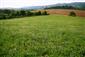 Nížinné a podhorské kosné lúky (23.5.2015)