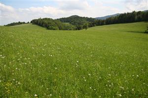 záber na biotop, smer JJV