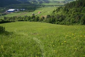záber na biotop na svahu k dedine