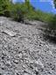 Nespevnené karbonátové skalné sutiny montánneho až kolinného stupňa (15.8.2013)